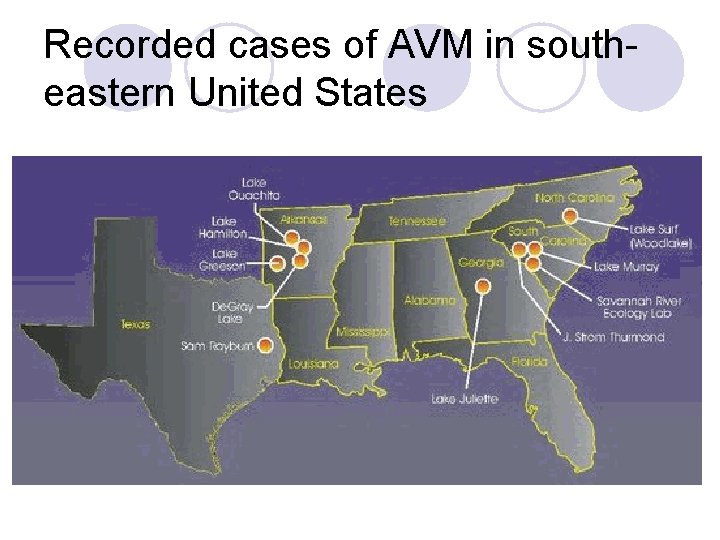 Recorded cases of AVM in southeastern United States 