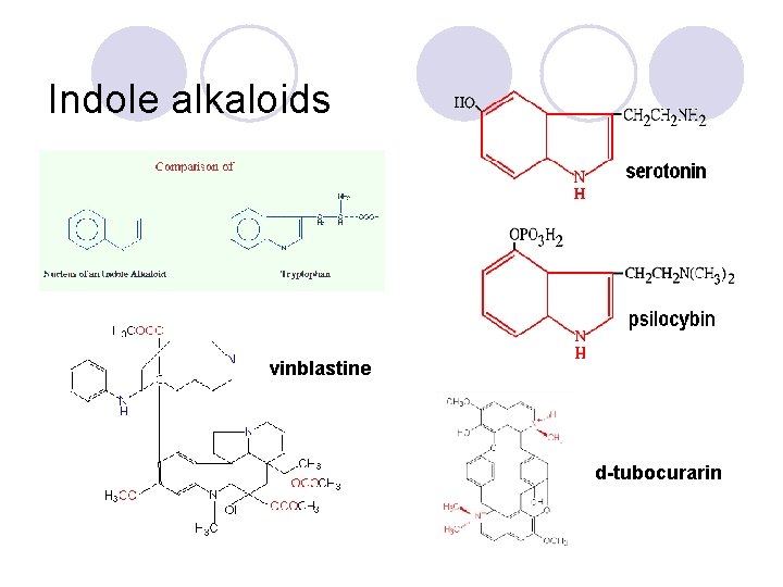 Indole alkaloids vinblastine d-tubocurarin 