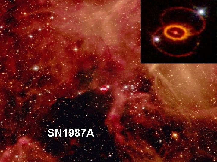 SN 1987 A D. Kiełczewska, wykład 15 