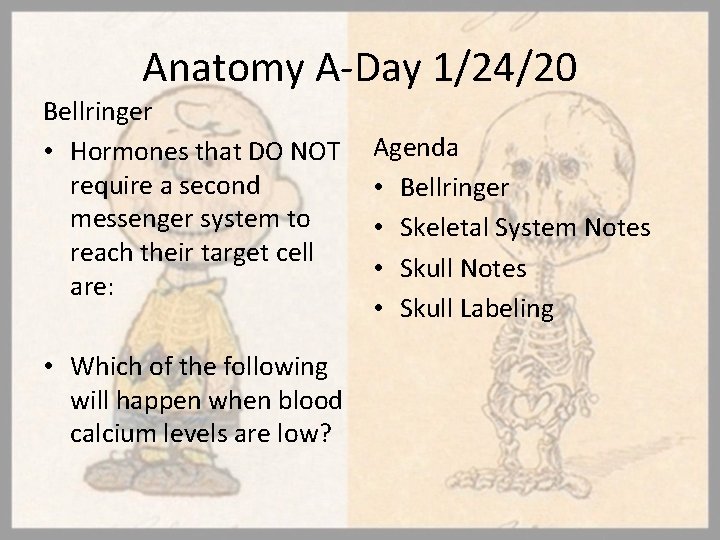 Anatomy A-Day 1/24/20 Bellringer • Hormones that DO NOT require a second messenger system