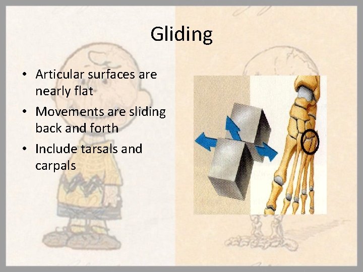 Gliding • Articular surfaces are nearly flat • Movements are sliding back and forth