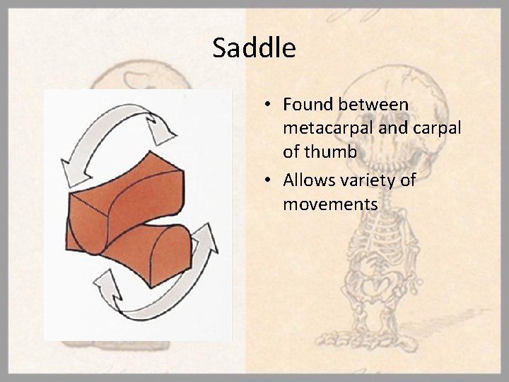 Saddle • Found between metacarpal and carpal of thumb • Allows variety of movements
