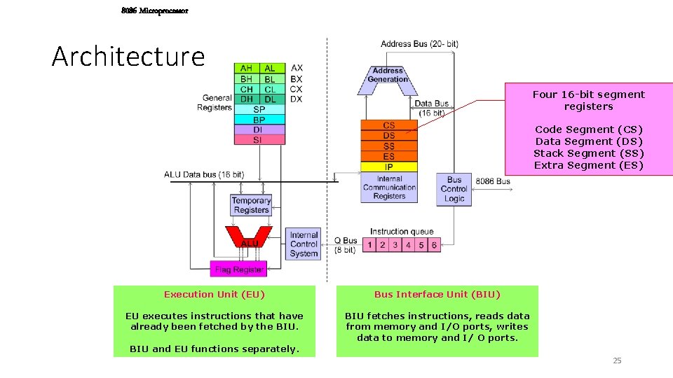 8086 Microprocessor Architecture Four 16 -bit segment registers Code Segment (CS) Data Segment (DS)
