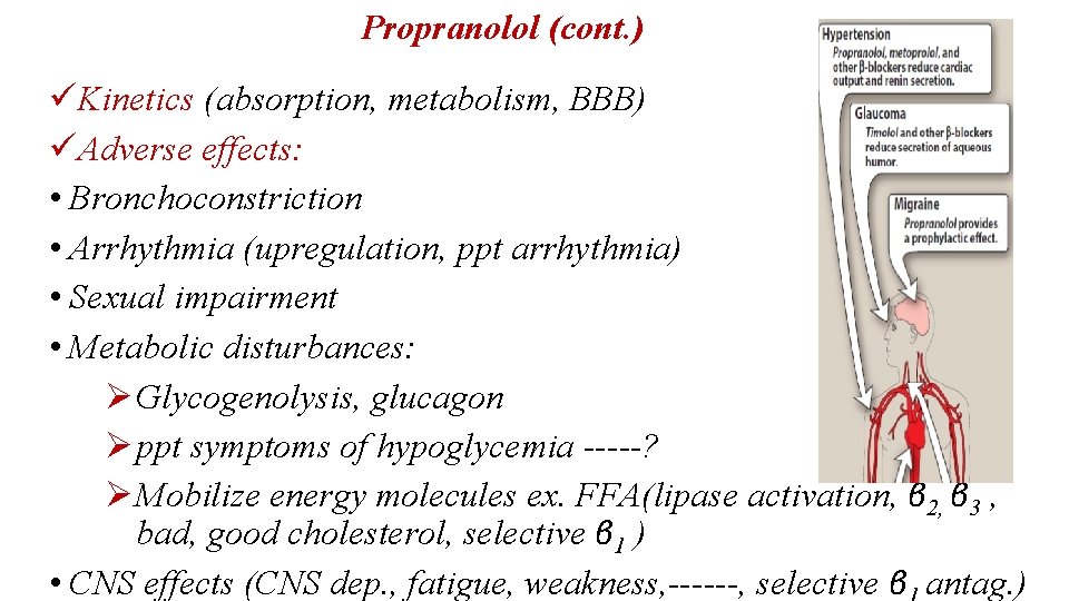 Propranolol (cont. ) üKinetics (absorption, metabolism, BBB) üAdverse effects: • Bronchoconstriction • Arrhythmia (upregulation,