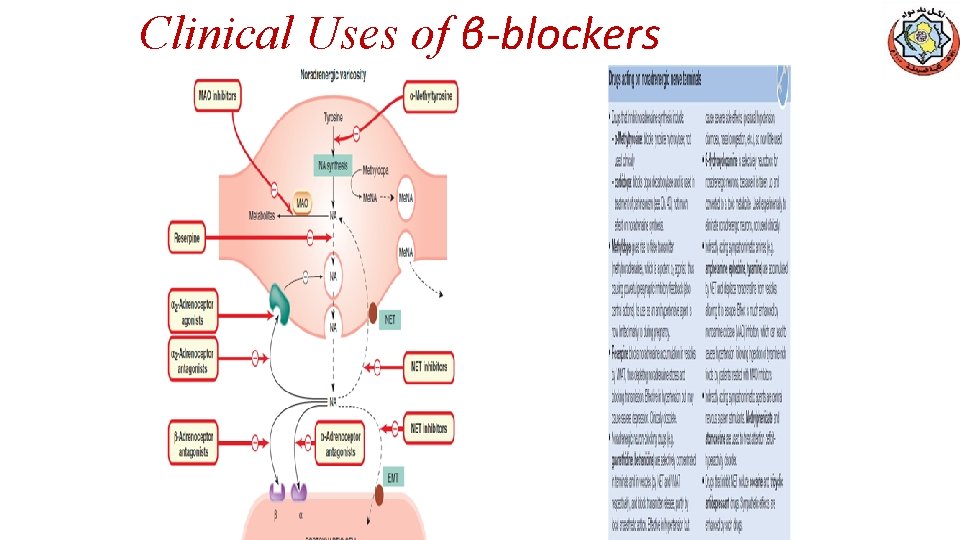 Clinical Uses of β-blockers 