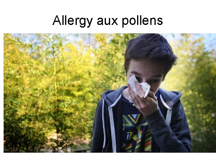 Allergy aux pollens 11 