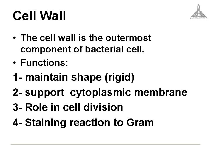 Cell Wall • The cell wall is the outermost component of bacterial cell. •
