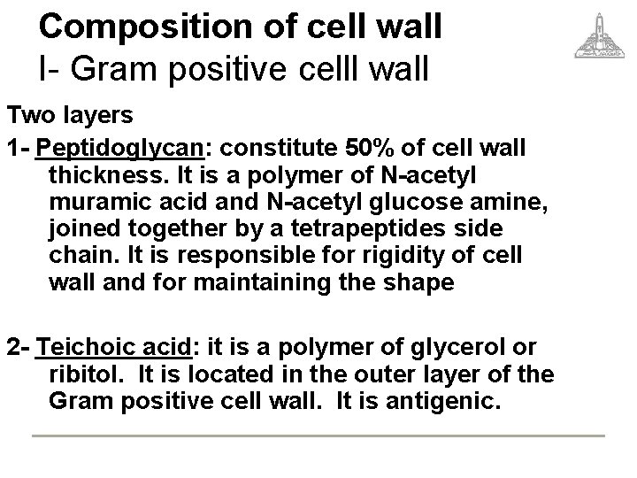Composition of cell wall I- Gram positive celll wall Two layers 1 - Peptidoglycan: