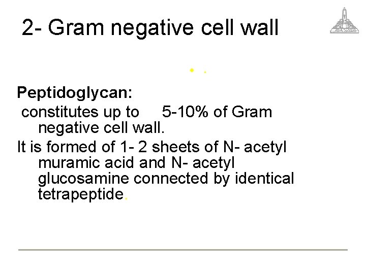 2 - Gram negative cell wall • . Peptidoglycan: constitutes up to 5 -10%
