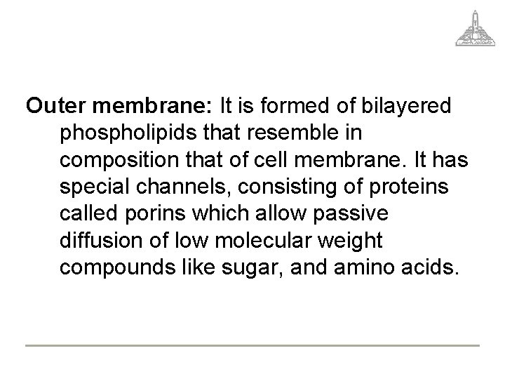 Outer membrane: It is formed of bilayered phospholipids that resemble in composition that of