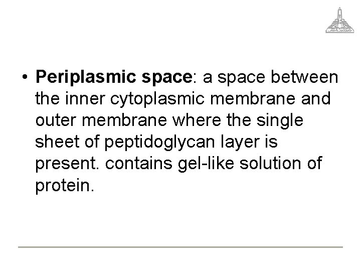  • Periplasmic space: a space between the inner cytoplasmic membrane and outer membrane