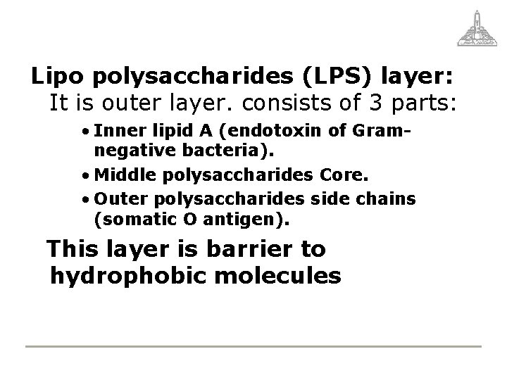 Lipo polysaccharides (LPS) layer: It is outer layer. consists of 3 parts: • Inner