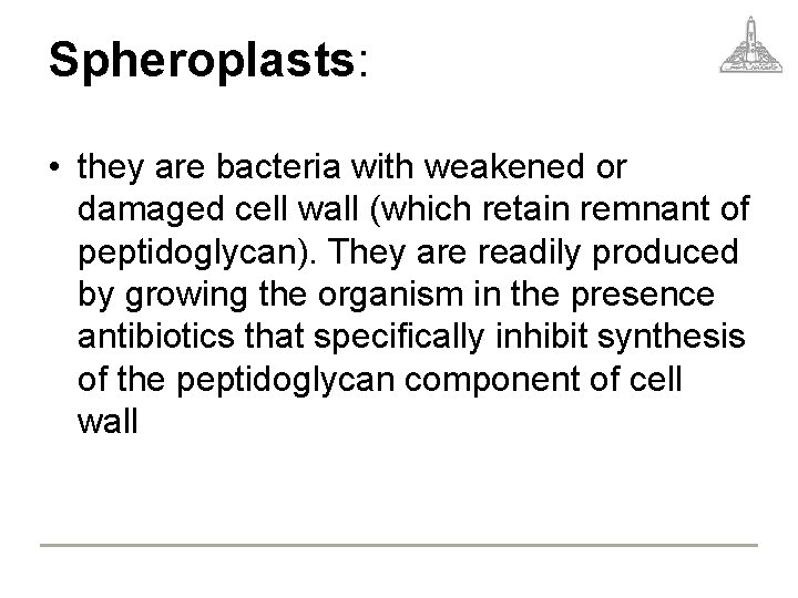 Spheroplasts: • they are bacteria with weakened or damaged cell wall (which retain remnant