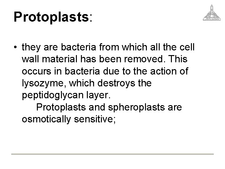 Protoplasts: • they are bacteria from which all the cell wall material has been
