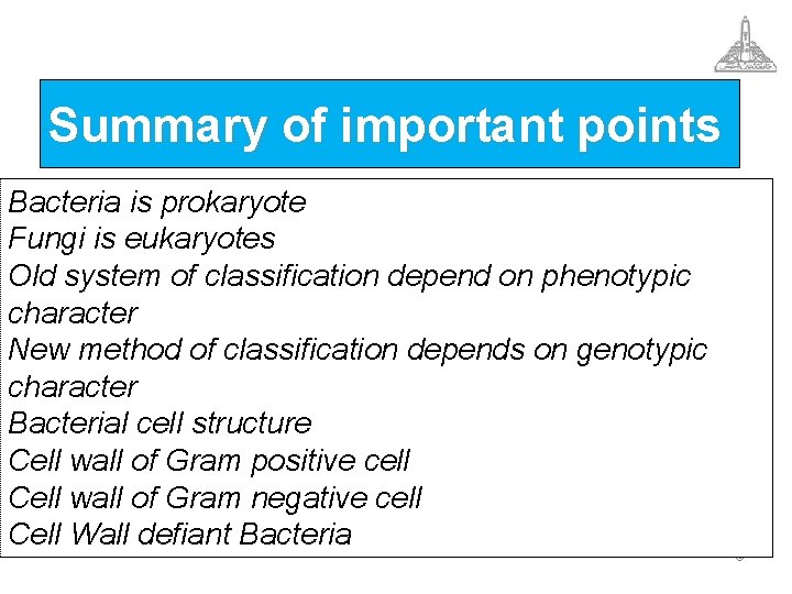 Summary of important points Bacteria is prokaryote Fungi is eukaryotes Old system of classification