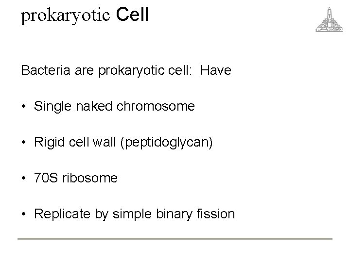 prokaryotic Cell Bacteria are prokaryotic cell: Have • Single naked chromosome • Rigid cell