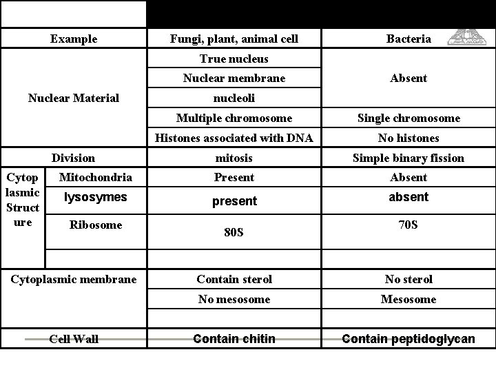 Example Eukaryotic prokaryotic Fungi, plant, animal cell Bacteria True nucleus Nuclear membrane Nuclear Material