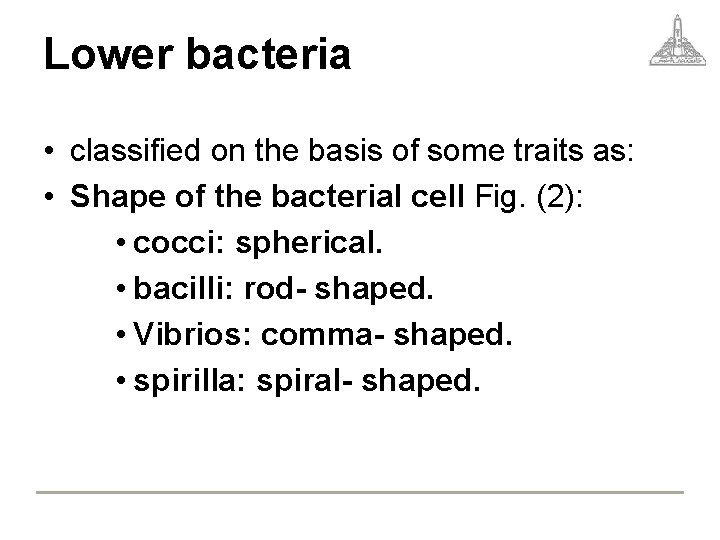 Lower bacteria • classified on the basis of some traits as: • Shape of