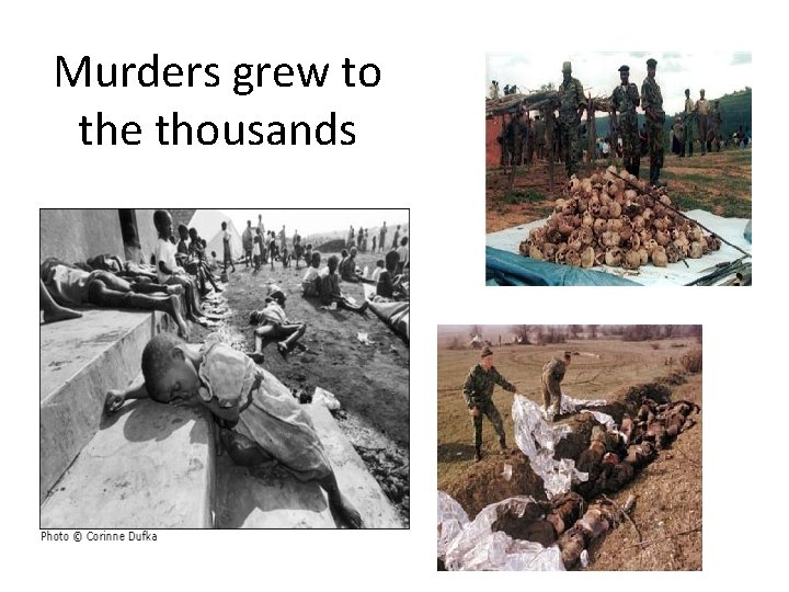 Murders grew to the thousands 