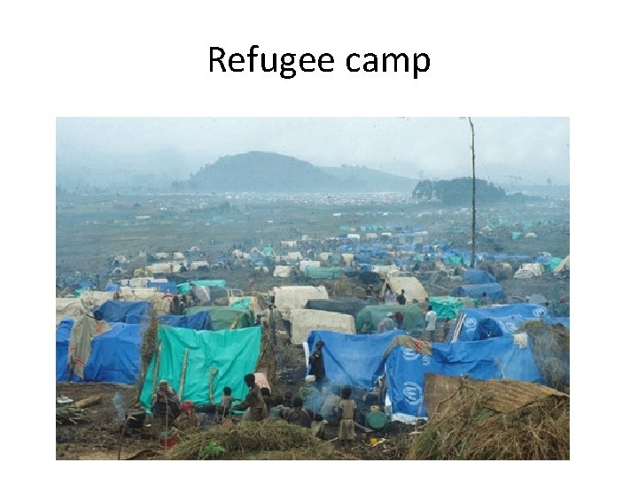 Refugee camp 