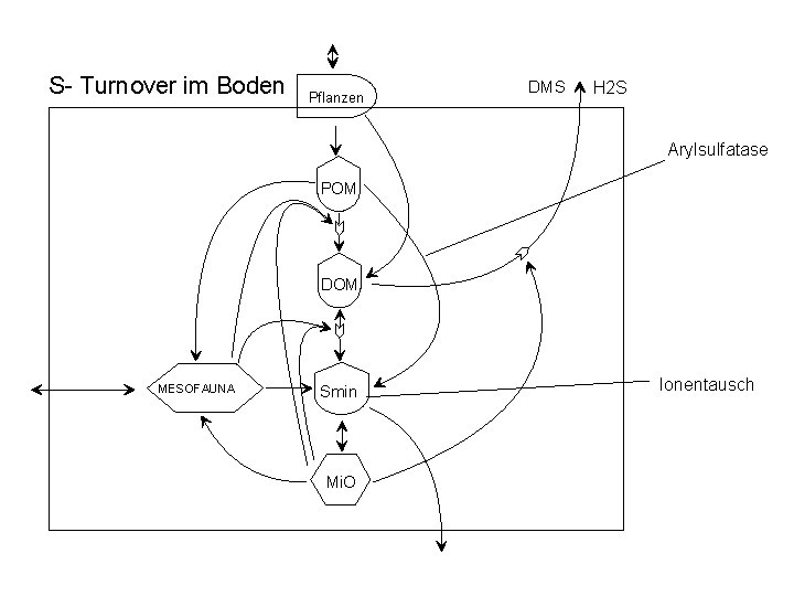 S- Turnover im Boden Pflanzen DMS H 2 S Arylsulfatase POM DOM MESOFAUNA Smin