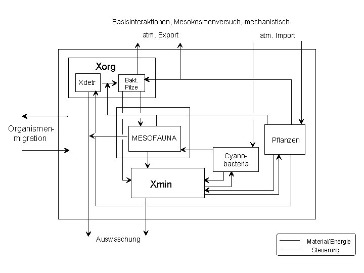 Basisinteraktionen, Mesokosmenversuch, mechanistisch atm. Export atm. Import Xorg Xdetr Organismenmigration Bakt. Pilze MESOFAUNA Pflanzen