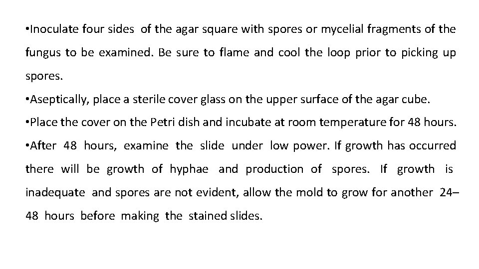  • Inoculate four sides of the agar square with spores or mycelial fragments