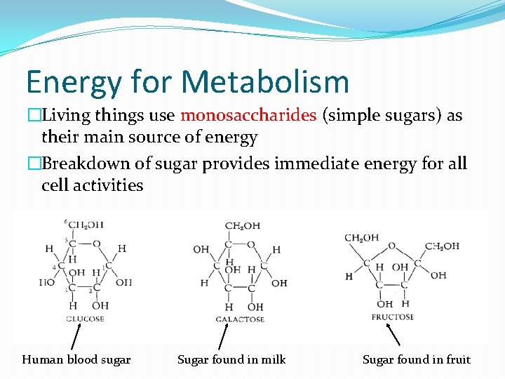 Energy for Metabolism �Living things use monosaccharides (simple sugars) as their main source of