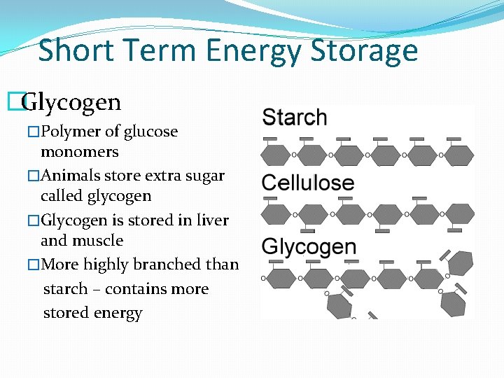 Short Term Energy Storage �Glycogen �Polymer of glucose monomers �Animals store extra sugar called