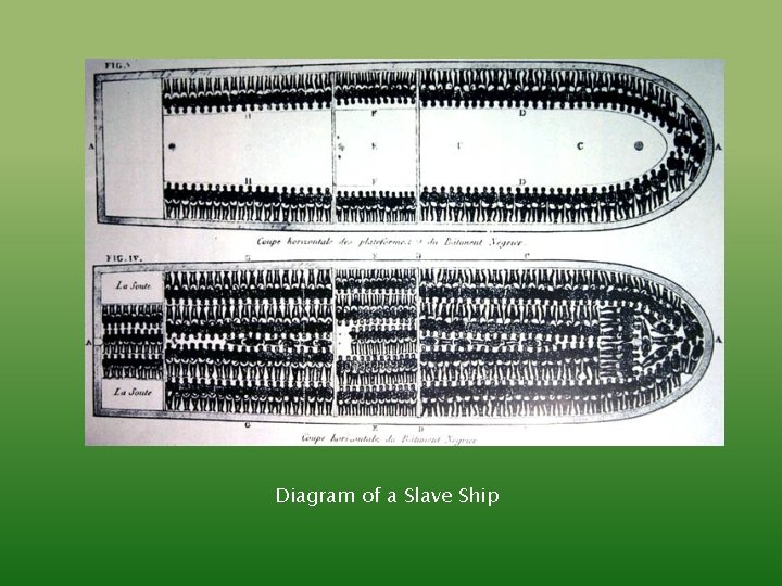 Interactive Notebook Set Up 8202018 Growth of Slavery