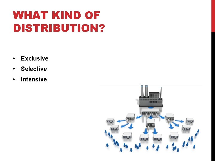 WHAT KIND OF DISTRIBUTION? • Exclusive • Selective • Intensive 