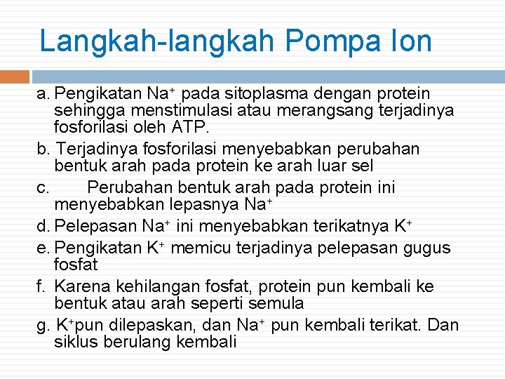 Langkah-langkah Pompa Ion a. Pengikatan Na+ pada sitoplasma dengan protein sehingga menstimulasi atau merangsang