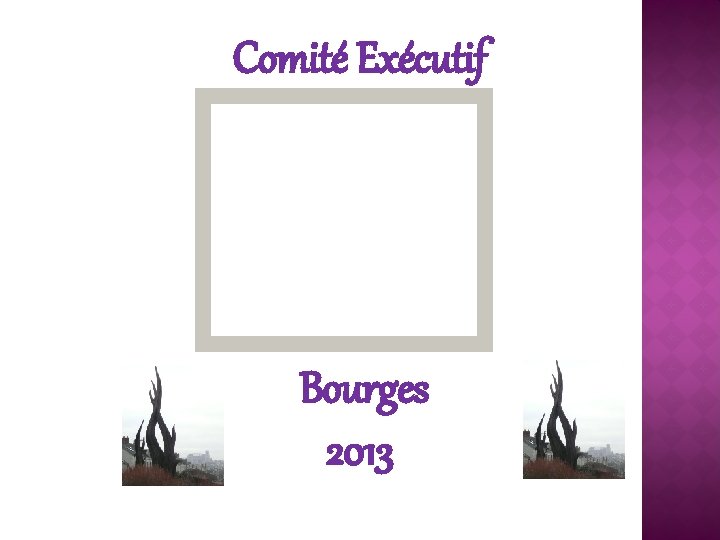 Comité Exécutif Bourges 2013 