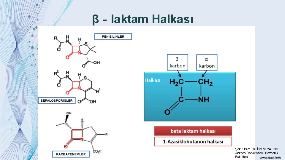 β‐laktam Halkası Şekil: Prof. Dr. İsmail YALÇIN Ankara Üniversitesi, Eczacılık Fakültesi 