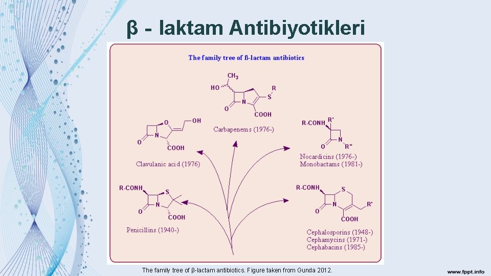 β‐laktam Antibiyotikleri The family tree of β lactam antibiotics. Figure taken from Gunda 2012.