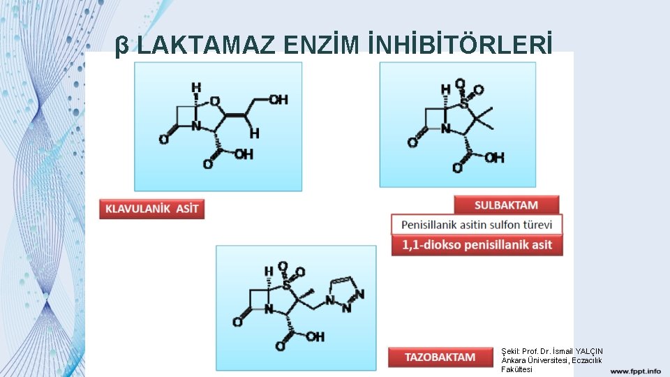 β LAKTAMAZ ENZİM İNHİBİTÖRLERİ Şekil: Prof. Dr. İsmail YALÇIN Ankara Üniversitesi, Eczacılık Fakültesi 