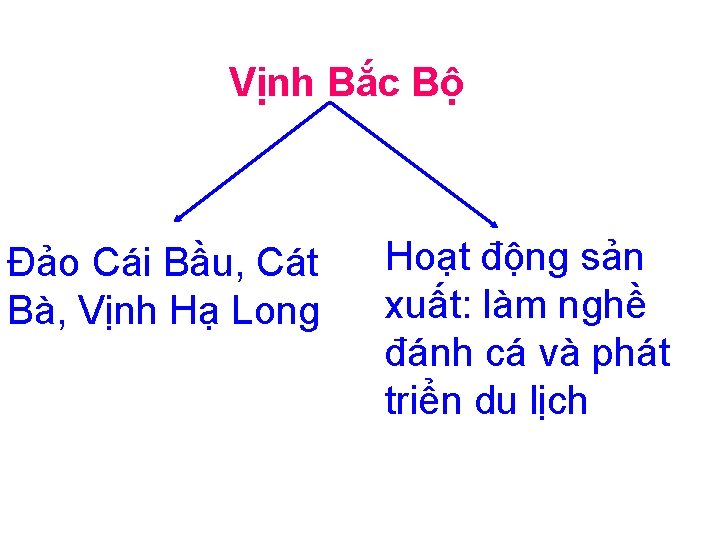 Vịnh Bắc Bộ Đảo Cái Bầu, Cát Bà, Vịnh Hạ Long Hoạt động sản