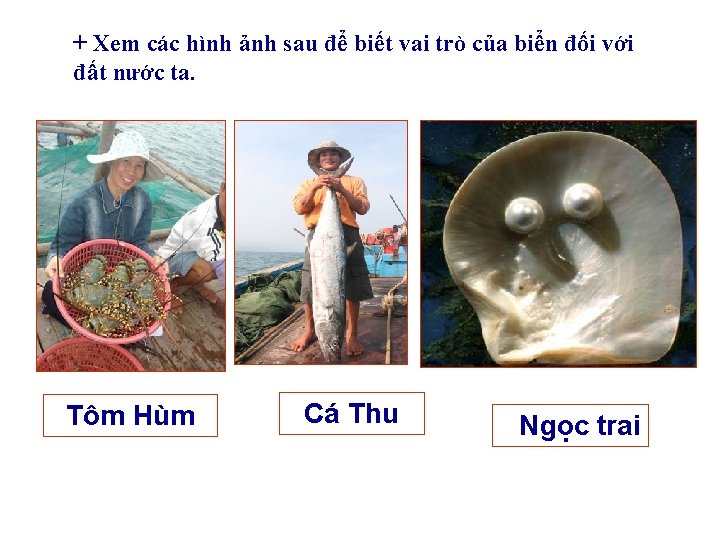 + Xem các hình ảnh sau để biết vai trò của biển đối với