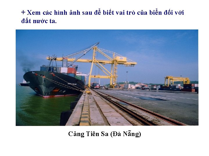 + Xem các hình ảnh sau để biết vai trò của biển đối với