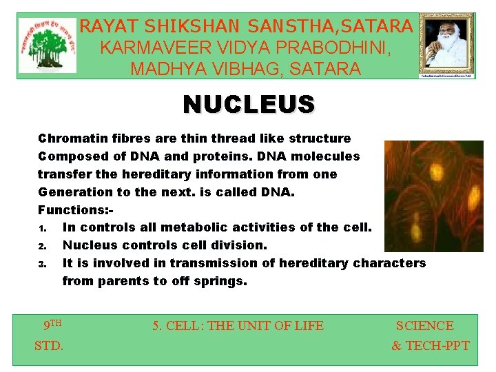 RAYAT SHIKSHAN SANSTHA, SATARA KARMAVEER VIDYA PRABODHINI, MADHYA VIBHAG, SATARA NUCLEUS Chromatin fibres are