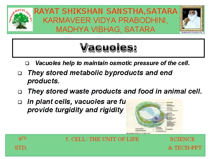 RAYAT SHIKSHAN SANSTHA, SATARA KARMAVEER VIDYA PRABODHINI, MADHYA VIBHAG, SATARA Vacuoles: q q Vacuoles