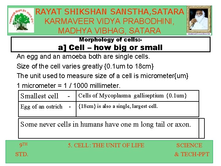 RAYAT SHIKSHAN SANSTHA, SATARA KARMAVEER VIDYA PRABODHINI, MADHYA VIBHAG, SATARA Morphology of cells: -
