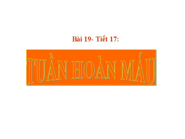 Bài 19 - Tiết 17: 