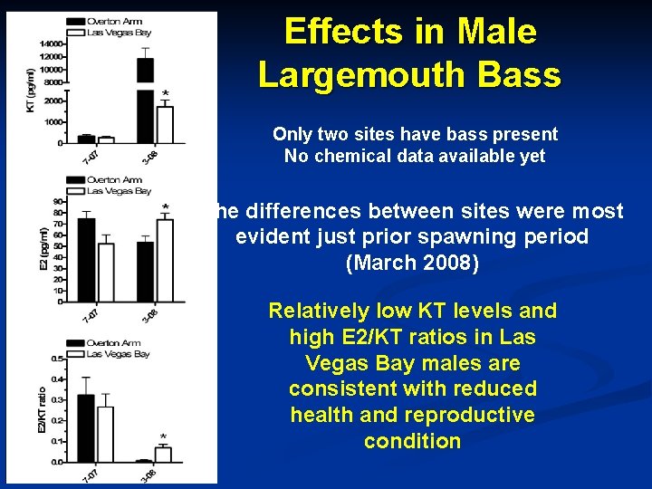 Effects in Male Largemouth Bass Only two sites have bass present No chemical data