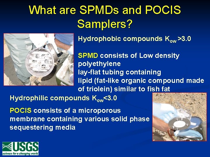 What are SPMDs and POCIS Samplers? Hydrophobic compounds Kow >3. 0 SPMD consists of