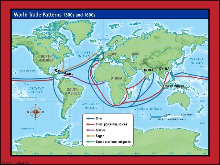European Partitioning across AFRICA Brain Wrinkles Why Africa