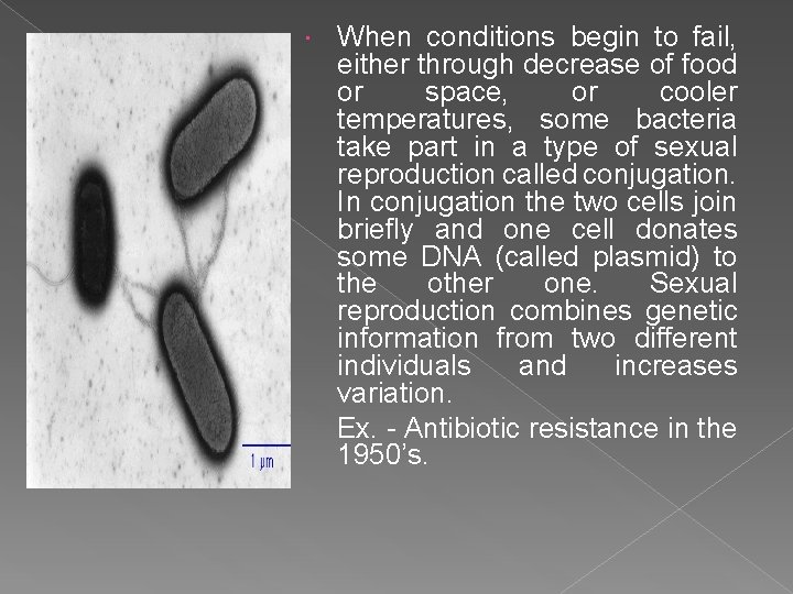  When conditions begin to fail, either through decrease of food or space, or