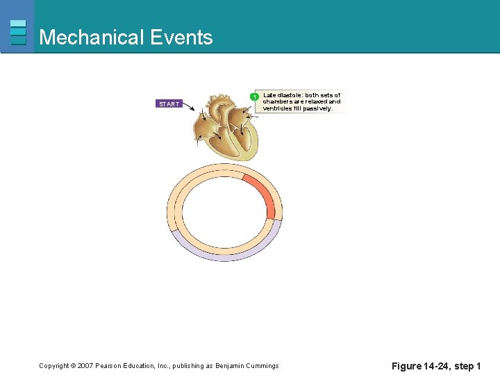 Mechanical Events 1 START Late diastole: both sets of chambers are relaxed and ventricles