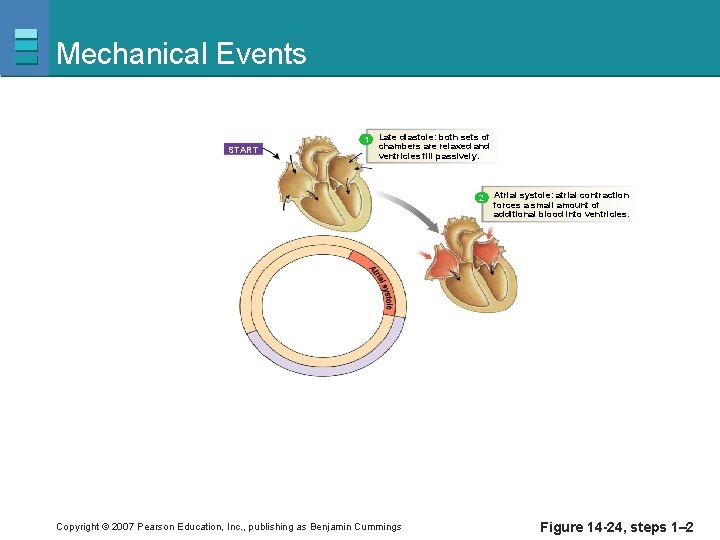 Mechanical Events 1 START Late diastole: both sets of chambers are relaxed and ventricles