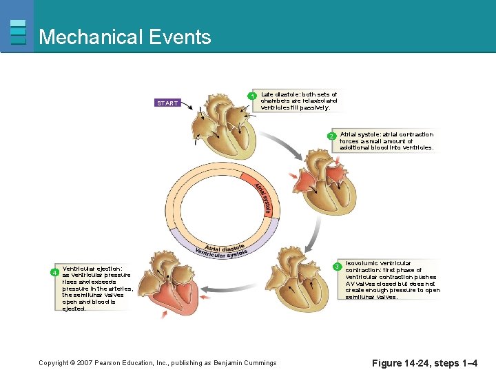 Mechanical Events 1 START Late diastole: both sets of chambers are relaxed and ventricles
